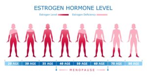 Infographic showing estrogen levels by age (20–80) with pink-to-red silhouettes indicating higher levels in middle age and menopause at the end of the scale.